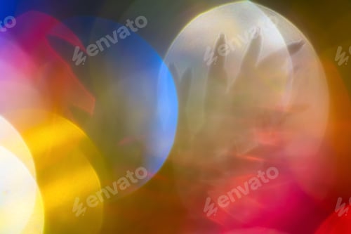 Preview: Silhouette of Spruce Branch with Needles Christmas Tree. Defocused Abstract Blurred Bokeh Background