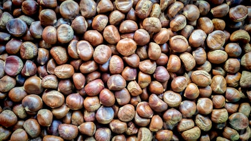Preview: Close-Up of Fresh Chestnuts in Abundance