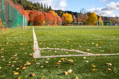 Preview: Closeup shot of autumn leaves at the football field
