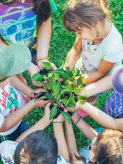 Preview: Children hold the earth and trees in their hands. Selective focus.