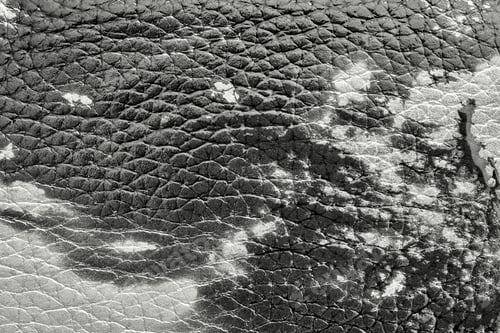 Preview: Abstract Background Of Rough Spotty Texture Of Natural Leather Closeup Monochrome Tone