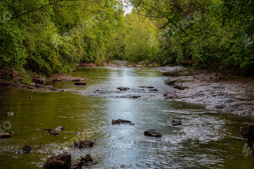 Preview: Stream flows through a park surrounded by numerous rocks in the water
