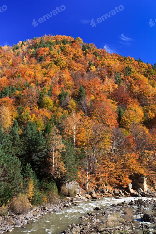 Preview: mountain stream