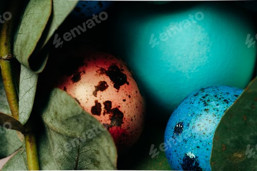 Preview: Colored quail eggs in leaf nest close up