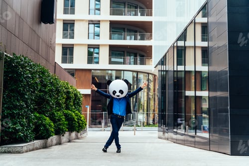 Preview: Storytelling image of a business man wearing a giant panda head