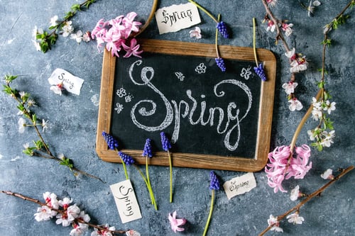 Preview: Spring blossom flowers