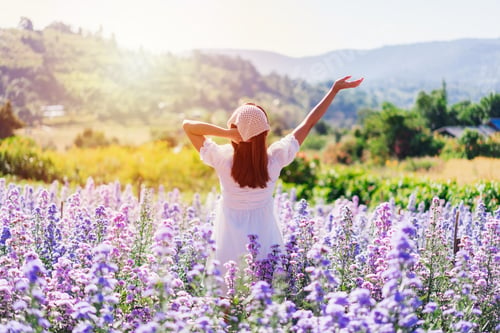 Preview: Young woman traveler relaxing and enjoying with blooming flower field in the morning