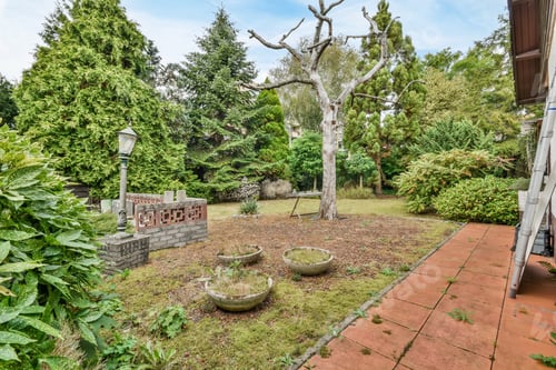 Preview: Beautiful courtyard with garden