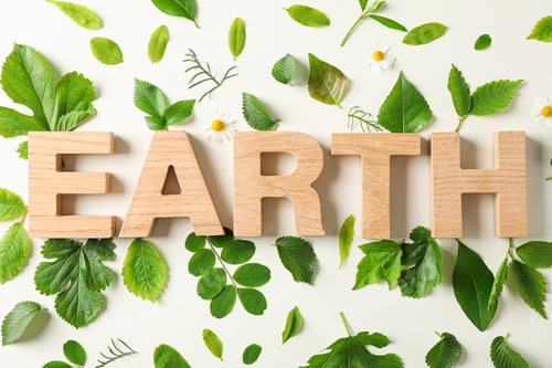 Preview: Inscription earth and greenery on light background, closeup. Environmental protection. Agriculture