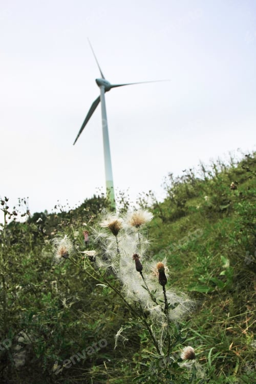 Preview: View Of Wind Turbine On Grassy Hill Top