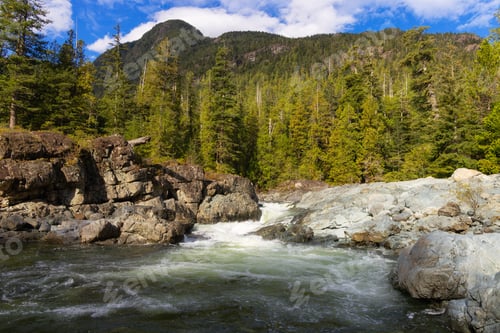 Preview: Rocks by the river in Canadian Nature Landscape. Background. Vancouver Island, BC, Canada