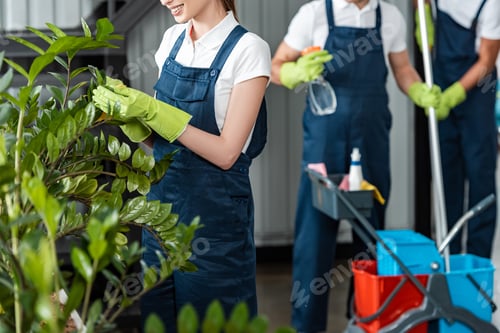 Preview: cropped view of smiling cleaner wiping plants while colleagues standing on background