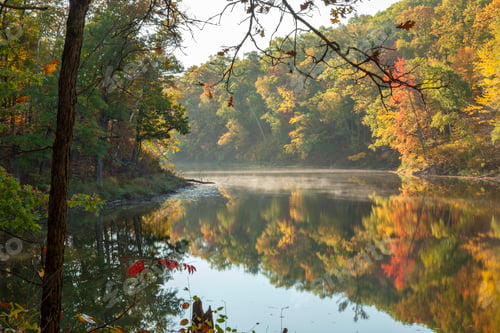 Preview: Lake and trees in autumn color in morning light in northern Minnesota