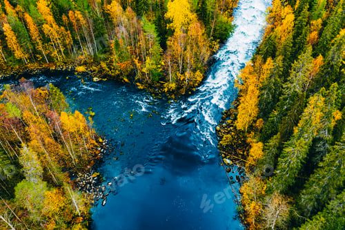 Preview: Aerial view of fast river flow through the rocks and colorful forest. Autumn in Finland