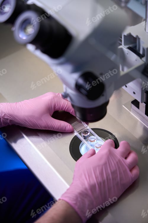 Preview: Close-up of embryologist handling a sample under the microscope