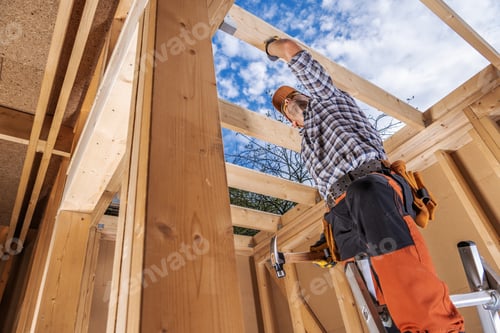 Preview: Professional Woodwork Industry Worker Inside Newly Built Wooden Frame