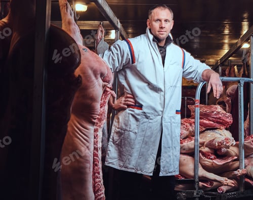 Preview: The butcher in a meat factory.