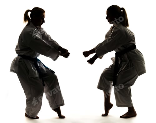 Preview: Two girls in kimono are training karate