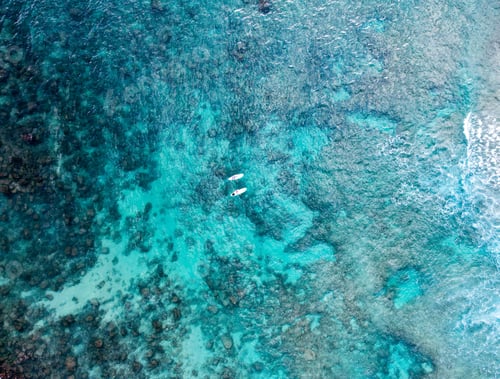 Preview: Aerial view of two surfers waiting for waves with crisp, crystal-clear blue ocean beneath them