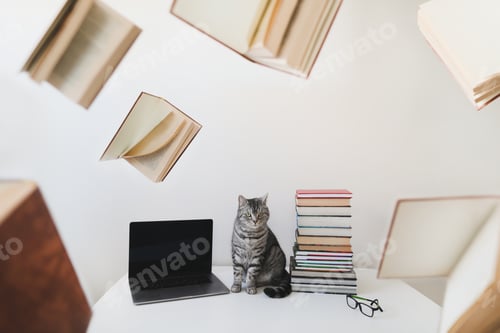 Preview: Funny cat sitting on the table among books, isolated on white. home education and study concept