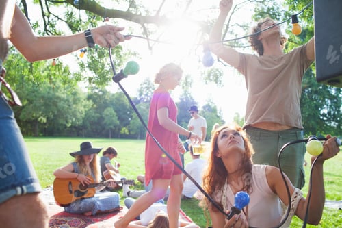 Preview: Group of friends hanging decorative lights at sunset park party