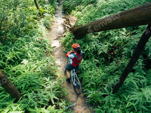 Preview: Cross country biking in summer forest