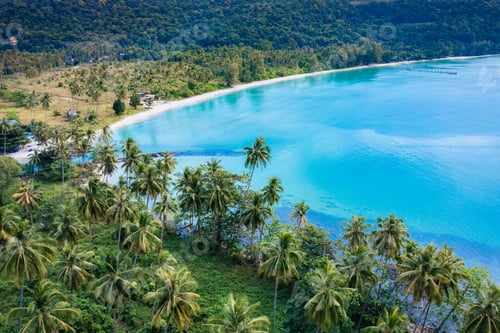 Preview: Beautiful tropical sea with palm tree forest on sunny day in Koh Kood Island