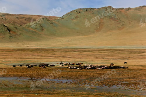 Preview: Kazakh nomads culture and lifestyle