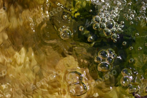 Preview: Green algae on the surface of the water. Nature background.