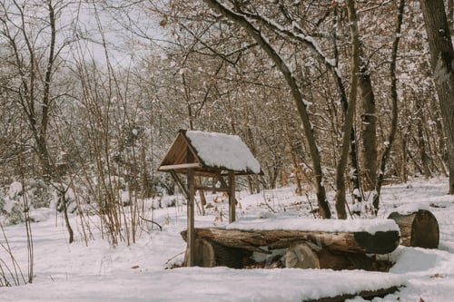 Preview: Winter landscape in a rural village