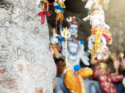 Preview: Ribbons tied to branches, Koneswaram Kovil temple, Trincomalee, Sri Lanka