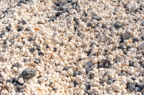 Preview: Details of Popcorn Beach near the town of Corralejo