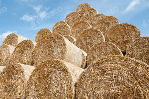Preview: Close-up at round shaped golden bale of straw stacked on top of each other into a high pyramid pile.