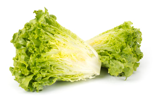 Preview: Fresh lettuce salad bunch isolated on white background