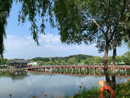 Preview: Famous Gungnamji Pond at Seodong Park in Chungcheongnam-do, South Korea
