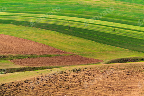 Preview: Landscape with green plowed farm fields