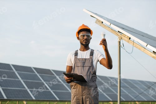 Preview: African american man standing on solar farm and holding bulb