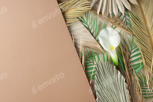 Preview: Tropical natural background with palm leaf and flower on brown. Flat lay, copy space