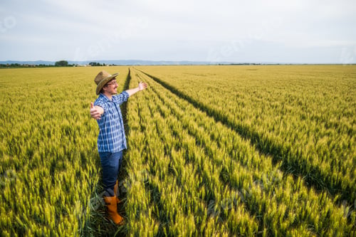 Preview: Farmer