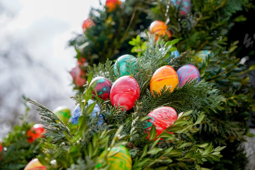 Preview: Selective focus of colorful Easter eggs on a tree in a park