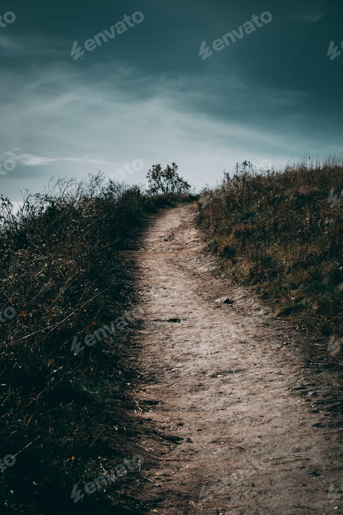 Preview: Vertical shot of a pathway in the middle of an autumn forest