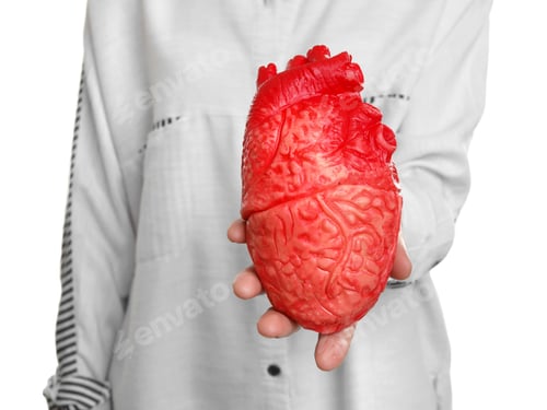 Preview: Woman holding model of heart on white background. Heart attack concept