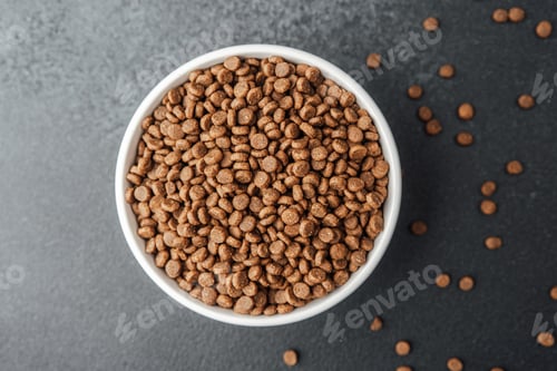 Preview: White bowl filled with dry dog food on black background with scattered kibbles