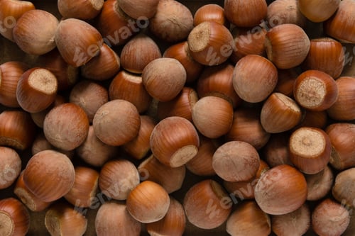 Preview: Hazelnut background. Hazelnut kernels in shell.