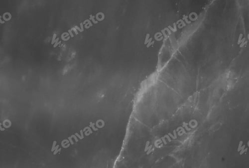 Preview: Black marble natural pattern for background, abstract black and white