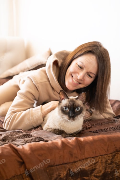 Preview: Close up of beautiful smiling young woman lying on sofa behind siamese cat and petting him