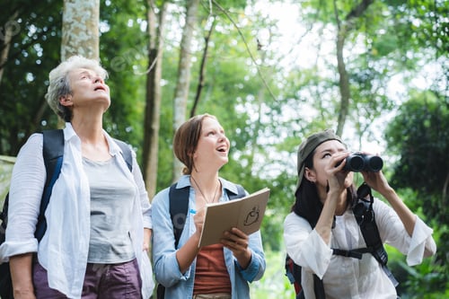 Preview: female backpacker group traveling in wild forest, Attractive girl traveler look around