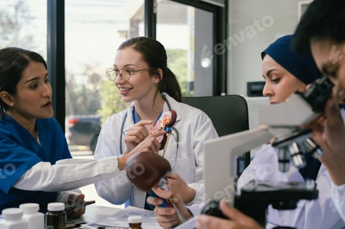 Preview: Scientist in laboratory study and Diagnosis of diseases for Model Internal organ sample of antibody.