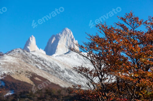 Preview: Autumn on Fitz Roy
