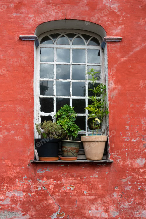 Preview: Pot with cannabis on the windowsill outdoors, old window.